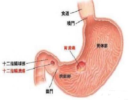 自体蛋白技术类风湿患者的福音!! 自体蛋白技术类风湿患者的福音!!